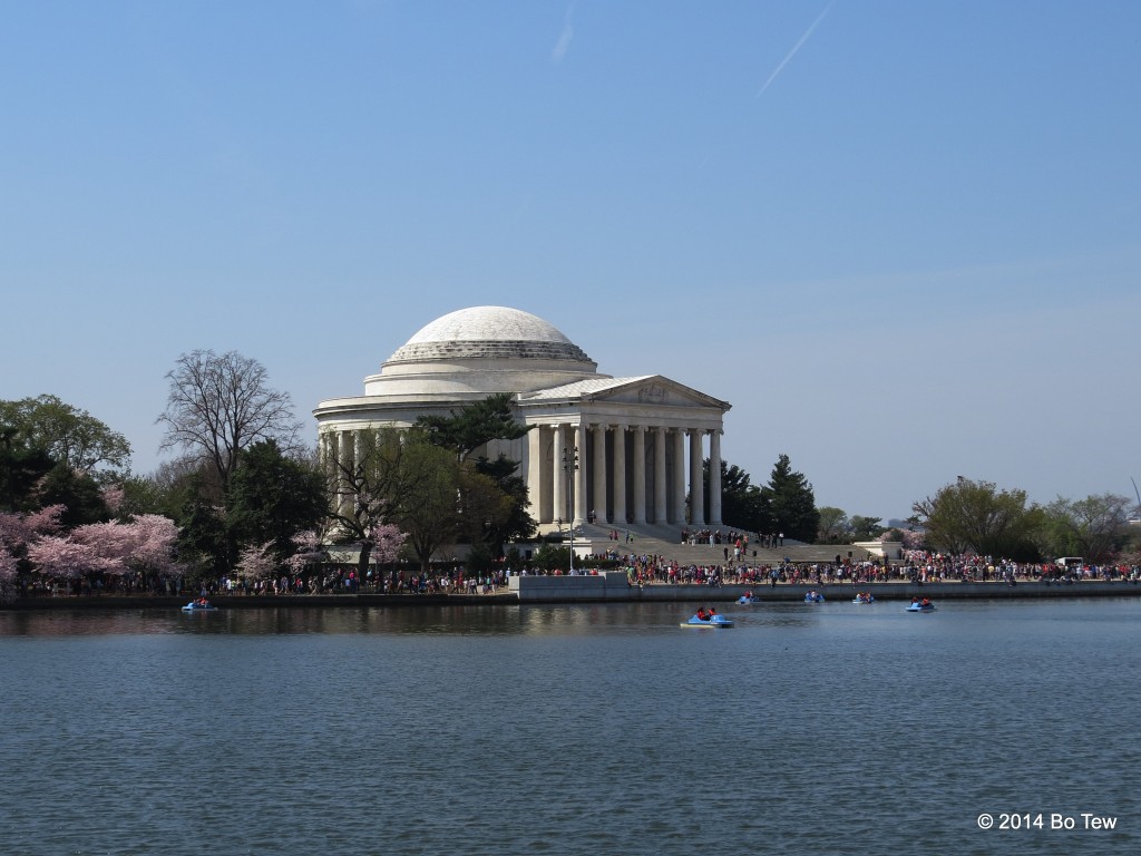 Jefferson Memorial Superimpose on Sakuras.