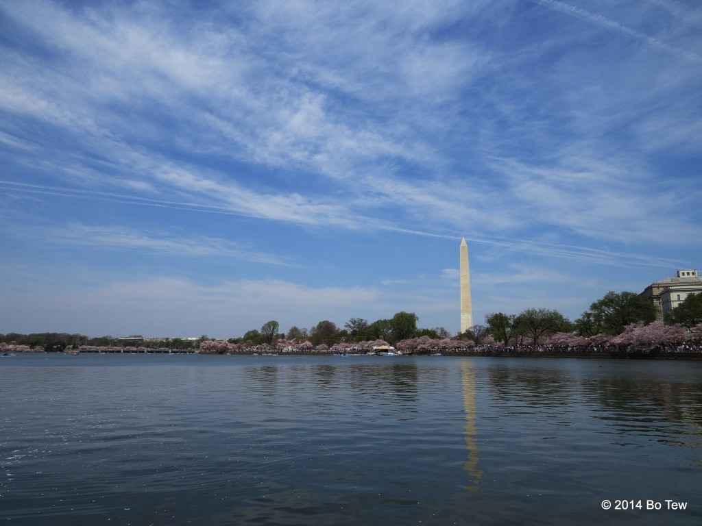Washington Monument during National Cherry Blossom festival.