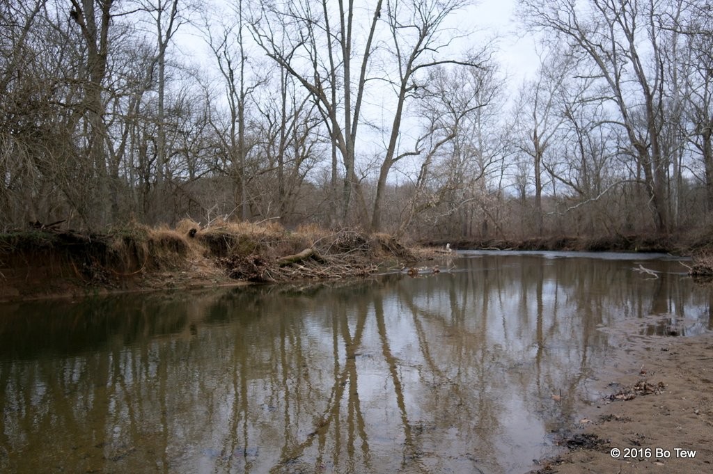 Water is pretty clear after a rain shower.