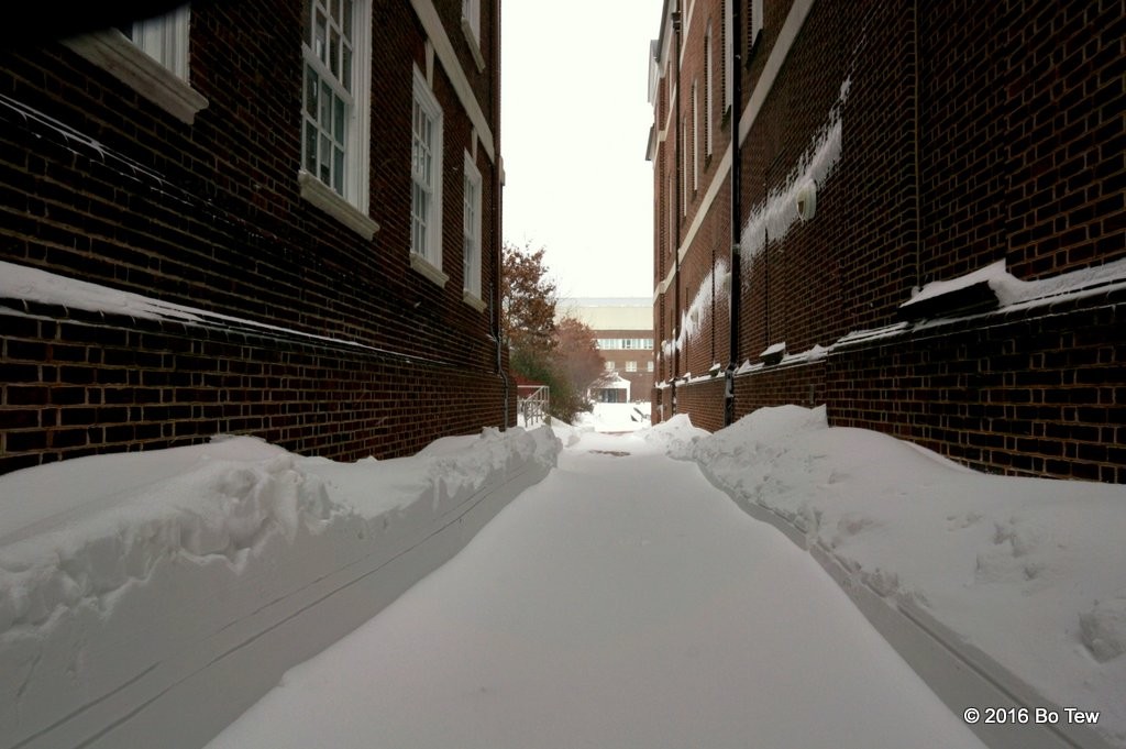 Along a plowed alley. 